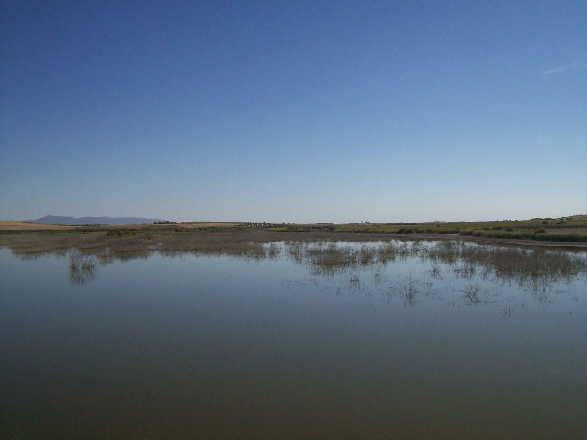 El Labriego, Casa Rural Fuente el Fresno 외부 사진